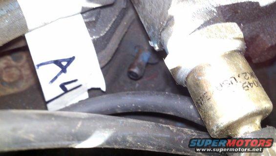 20120123_155653_539.jpg