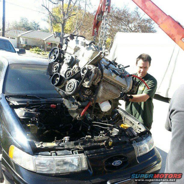 1992 Ford Taurus photo
