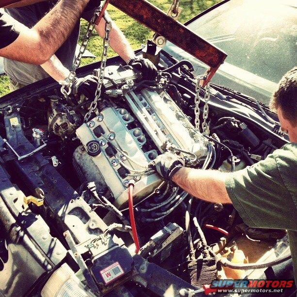 1992 Ford Taurus photo