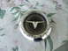 1973 Ford Ranchero - A chrome hubcap with a distinctive V-shaped emblem is shown against a floral background.