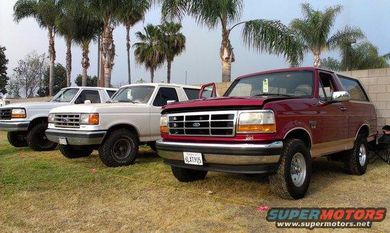 Three Ford Bronco SUVs parked in a row on grass with palm trees behind them. The front one is red, the other two are white