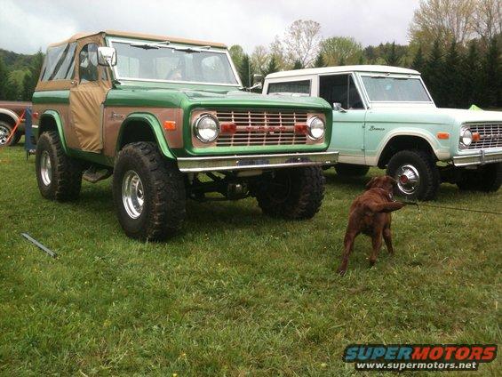 Two Ford Broncos parked on grass, one green and tan, the other light blue and white. A brown dog is on a leash between them