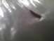 2003 Ford Crown Victoria - A blurry image shows a brown object, likely a car part, with light reflections on a gray surface.