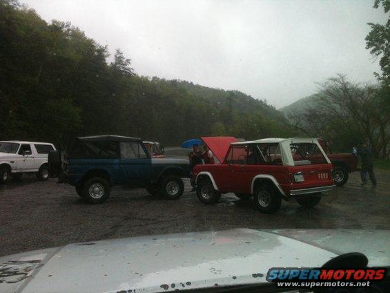 Several Ford Bronco SUVs parked on a wet surface with trees in the background