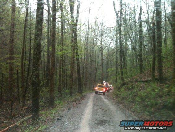 Orange SUV driving on a dirt road through a forest