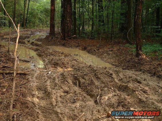 Muddy track through a forest with tire ruts visible