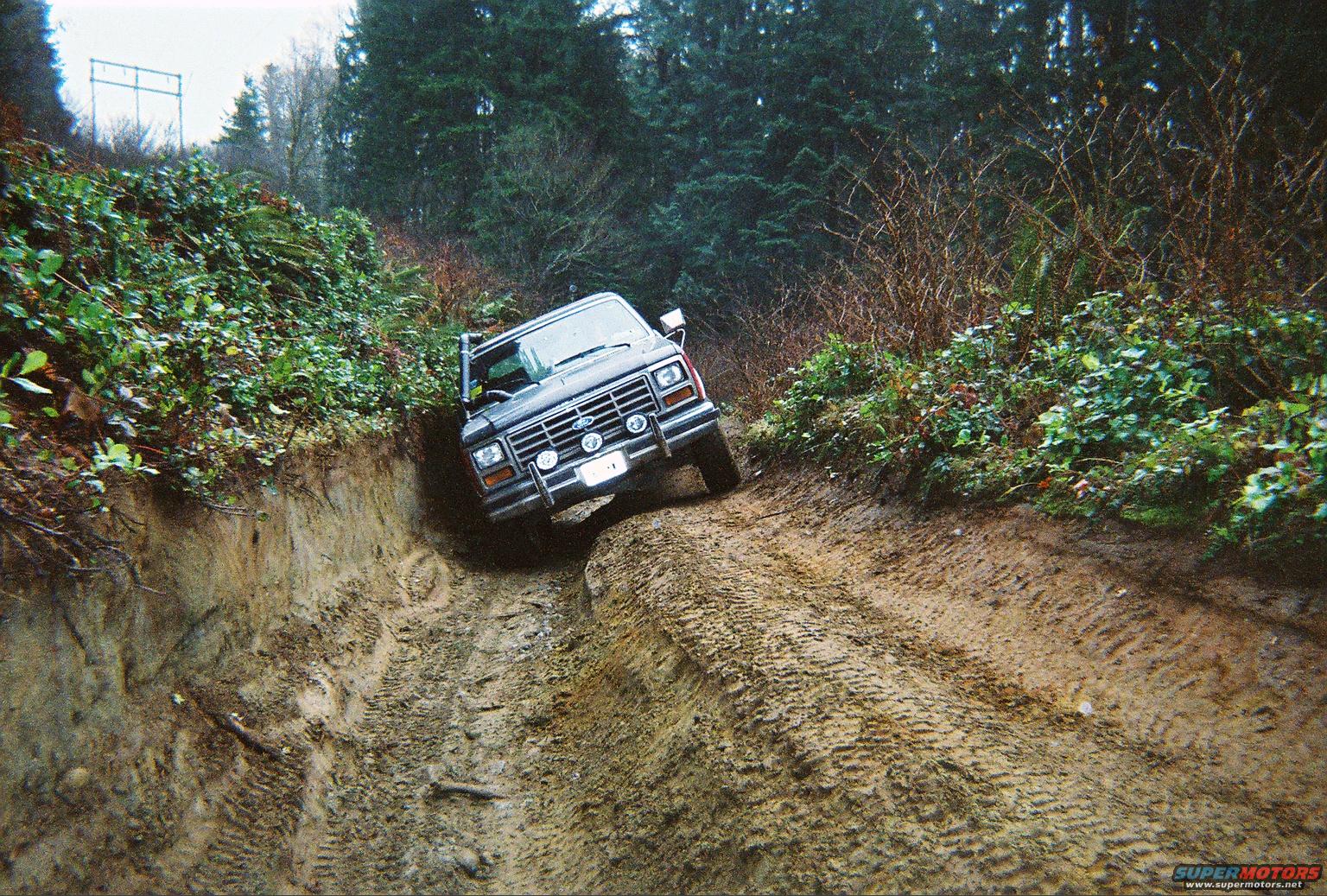 1983 Ford Bronco “zeus”