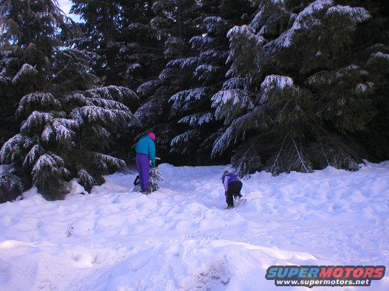 Two people in winter clothes cutting Christmas trees in a snow-covered forest