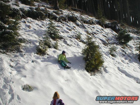 People sledding down a snowy hill with trees