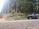 1979 Ford Bronco - Ford Bronco parked on a dirt road with a wooded area behind it.