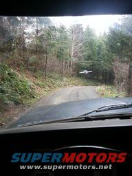 Road through forest with a small airplane in the sky