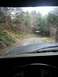 1979 Ford Bronco - A view from inside a vehicle looking out at a road and trees, with a small airplane flying overhead.