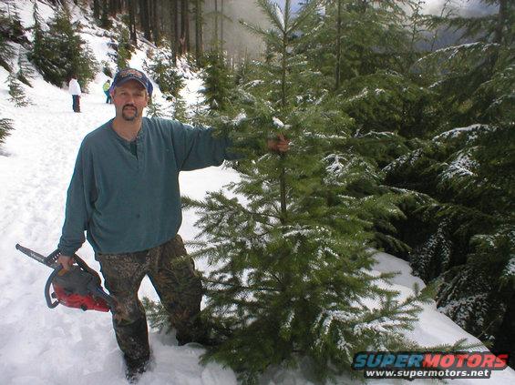 Man holding a chainsaw stands next to a small evergreen tree in a snowy forest. Other trees and snow-covered ground are visible