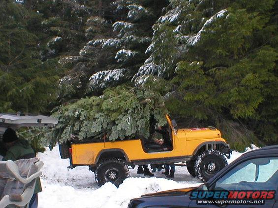 Yellow Jeep CJ-8 Scrambler loaded with a large Christmas tree, driving in snow. Another vehicle is partially visible in the foreground
