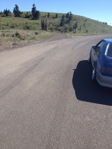 Blue 1990 Ford Mustang coupe driving on a dirt road
