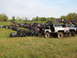 1979 Ford Bronco - A large gathering of Jeeps are parked on a grassy incline, with more vehicles visible in the background.