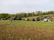 1979 Ford Bronco - A large gathering of off-road vehicles parked in a field on a cloudy day.