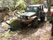 1979 Ford Bronco - A green Jeep Wrangler navigates a rocky trail in a wooded area.