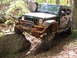 1979 Ford Bronco - This Jeep Wrangler is navigating a rocky obstacle on a wooded trail, showing its off-road capabilities.