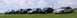1996 Mercury Grand Marquis - Carlisle 2008 group shot
