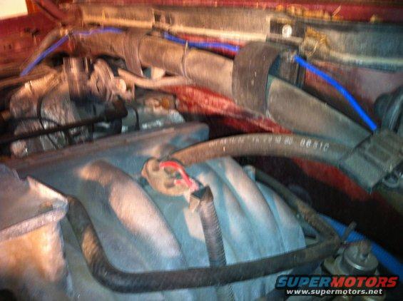 Brake booster vacuum to large fitting on vacuum tree.