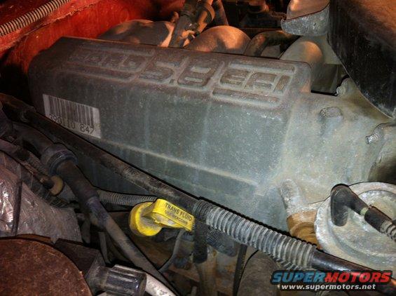 EGR vaccum (far right), Trans dipstick (E4OD)