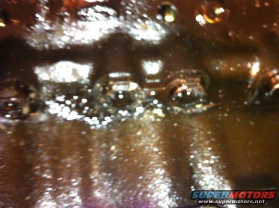 Close-up of an oil pan with some debris and oil
