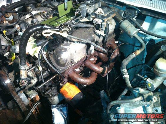 Engine bay with oil filter and exhaust manifold