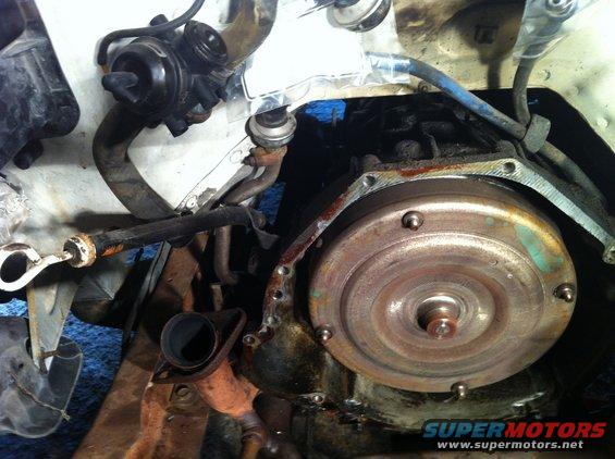 Close-up of a vehicle's transmission bell housing and torque converter, with various hoses and vacuum lines visible