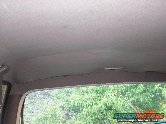 Vehicle interior ceiling and rear window with trees visible outside