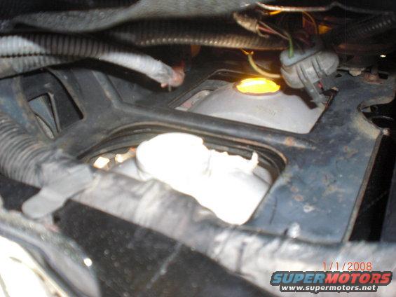 Engine bay wiring and fluid reservoir