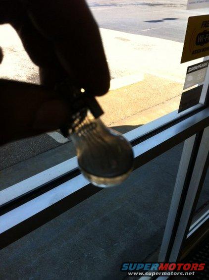 hand holding a small light bulb