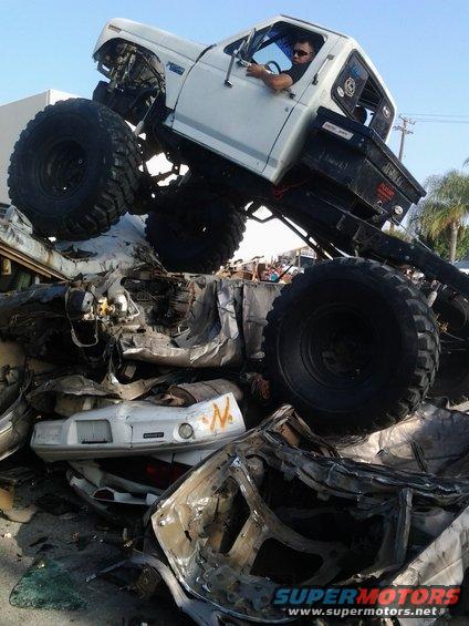 Monster truck on top of crushed cars. Driver visible in cab