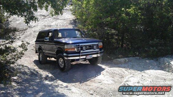 Dark blue Ford Bronco driving on a dirt trail with trees and rocks