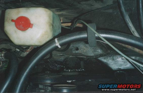 Engine bay with white fluid reservoir and black hoses