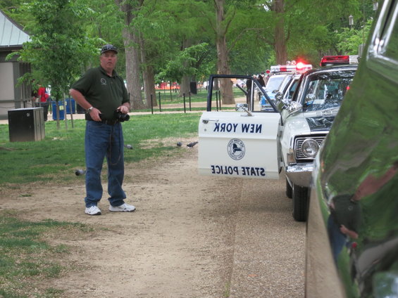Man in green shirt stands by a line of New York State Police cars, one with door open