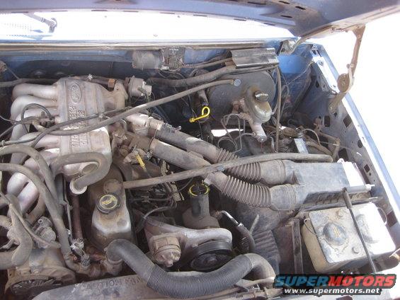 Engine bay of a blue 1988 Ford Bronco, showing the V8 engine with Ford branding on the intake manifold