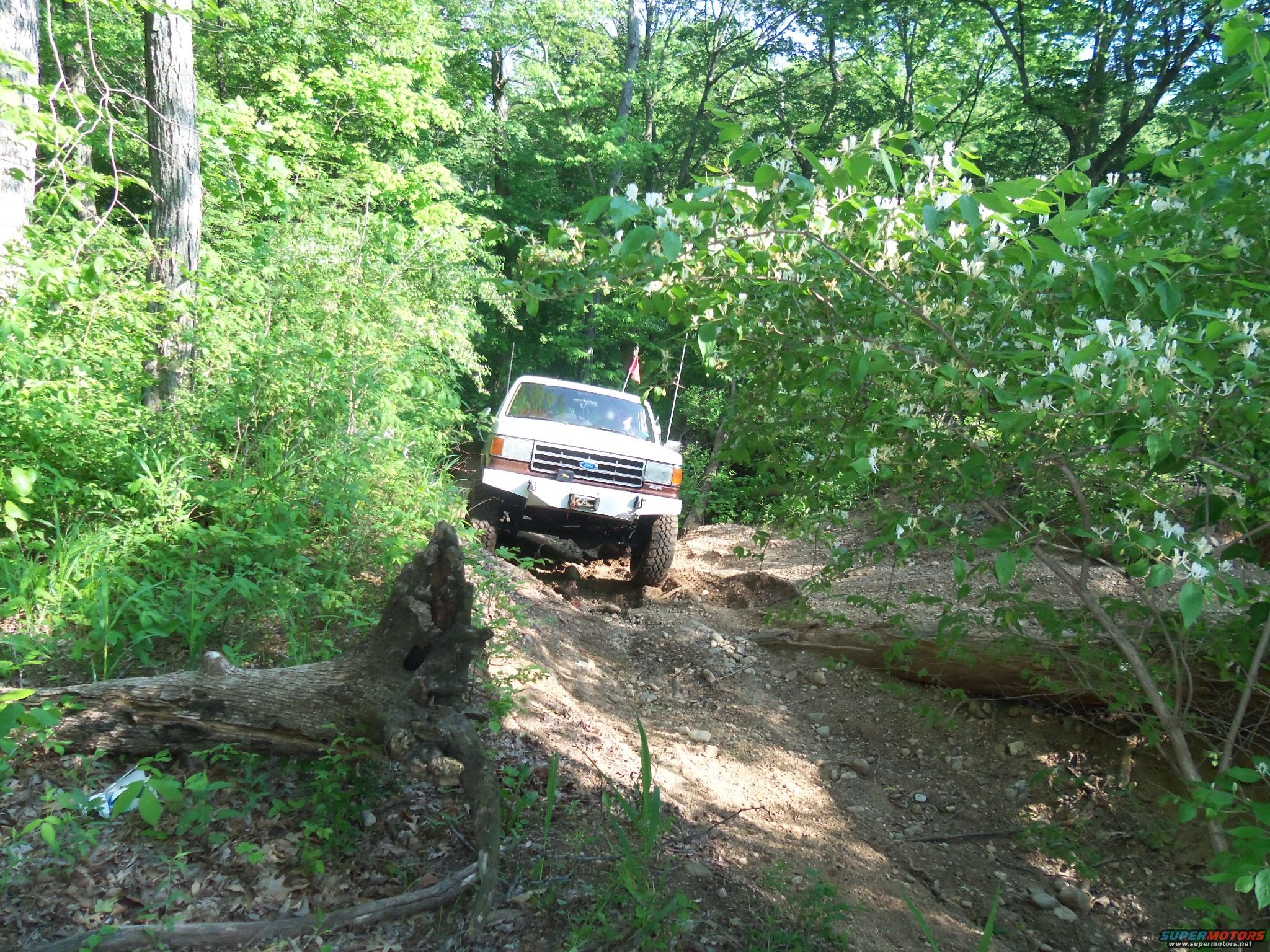 1989 Ford Bronco photo