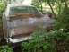 1988 Ford Bronco - This abandoned sedan, partially obscured by plants, shows signs of neglect with debris on its roof.