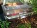 1988 Ford Bronco - This old sedan is overgrown with vegetation and appears to be abandoned in a wooded area.