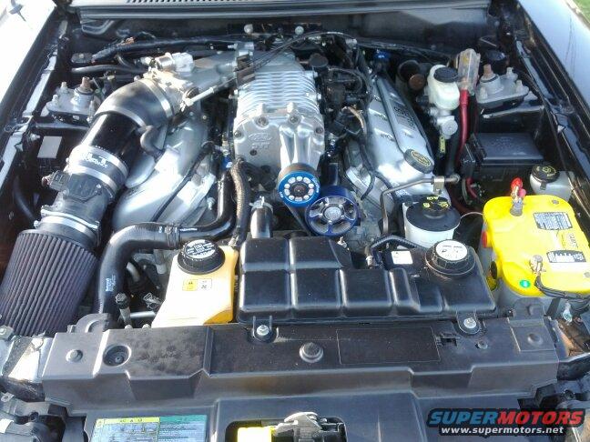 2004 Ford Mustang photo