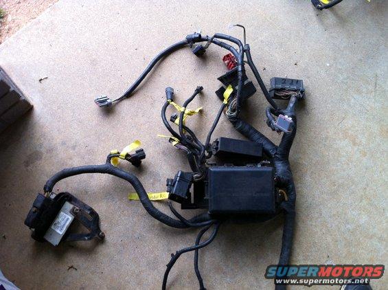 Automotive wiring harness with connectors and fuse box, laid out on concrete
