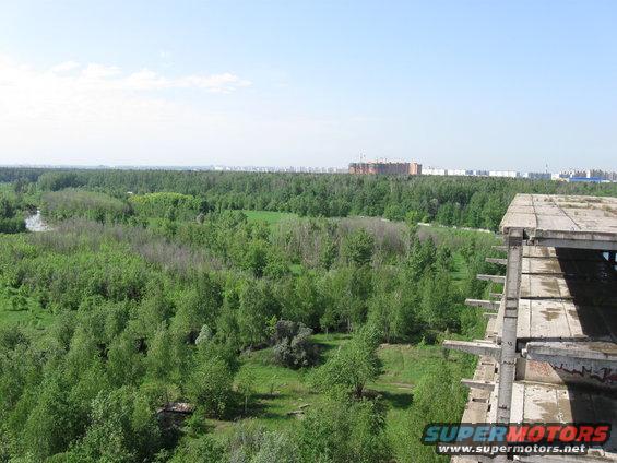 Overgrown forest with a distant city skyline and an unfinished concrete building in the foreground