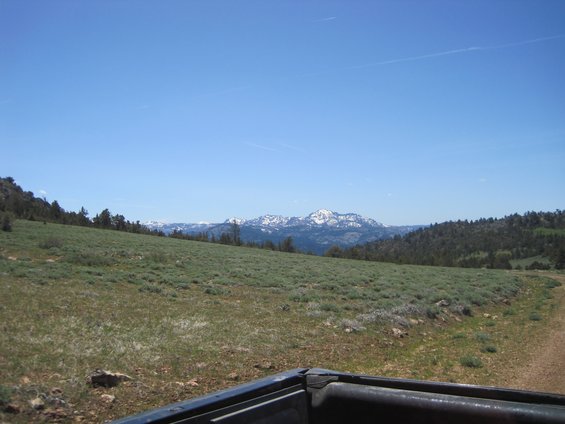 Truck bed edge in foreground, overlooking a grassy hill with snow-capped mountains in the distance under a clear blue sky
