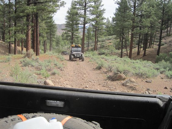 Jeep Wrangler driving on a dirt road in a forest, another Jeep is visible ahead