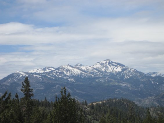 Snow-capped mountain range with pine forests in the foreground under a cloudy sky