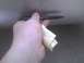 2003 Ford Crown Victoria - A hand holds a pen and a folded receipt from O'Reilly Auto Parts.
