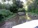 1992 Ford Explorer - A white vehicle navigates a shallow stream surrounded by lush green foliage and trees.