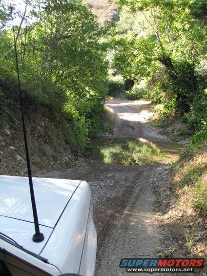 Dirt road with a puddle, trees on either side, and the corner of a white vehicle in the foreground