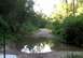 1992 Ford Explorer - A dirt road winds through a wooded area, crossing a shallow stream reflecting the trees above.